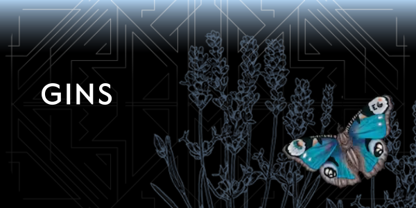 GINS